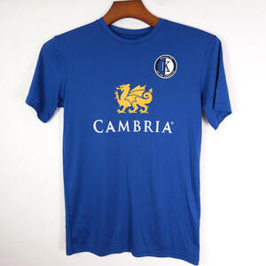 Champion Double Dry Blue Activewear Tee EUC Men's Size Large Cambria